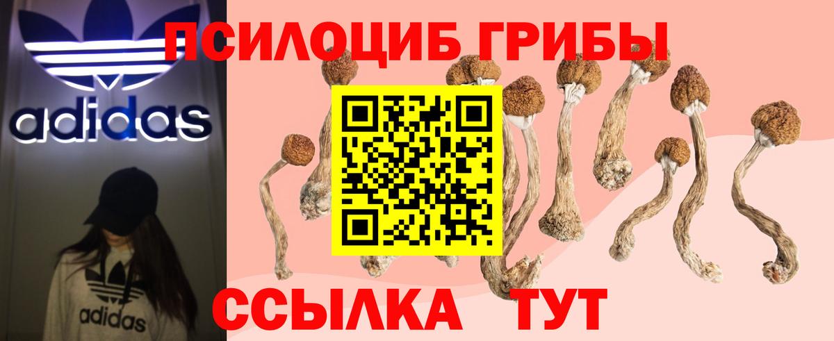 Малоярославец  Псилоцибиновые грибы мицелий  Вход с VPN 