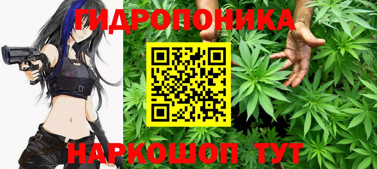 Шишки марихуана индика  Конопля план  Конопля индика  Вход с VPN  Малоярославец  Бошки марихуана конопля 
